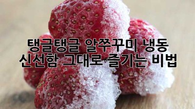탱글탱글 알쭈꾸미 냉동! 신선함 그대로 즐기는 비법 🐙✨